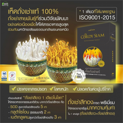 Cordy Siam ถั่งเช่าแคปซูลแท้ 100%  สูตรพรีเมี่ยม