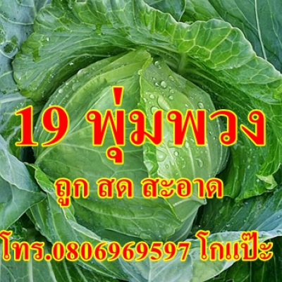 19พุ่มพวง รถขายกับข้าว โทร.0806969597 โกแป๊ะ