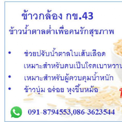 ข้าวกล้อง กข43 ขนาด 5 กิโลกรัม