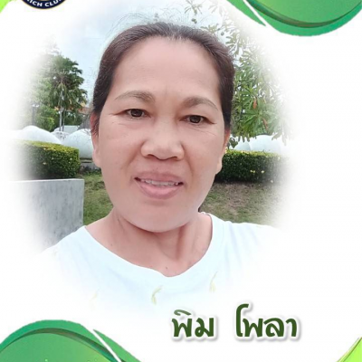 123พิมพารวย