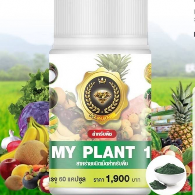 MY PLANT1 นวัตกรรมเอ็มไซม์ปรับปรุงดิน(สำหรับพืช)