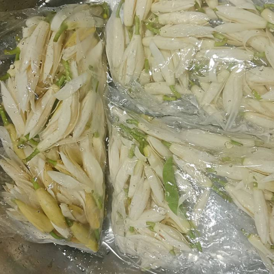 ดอกจำปี