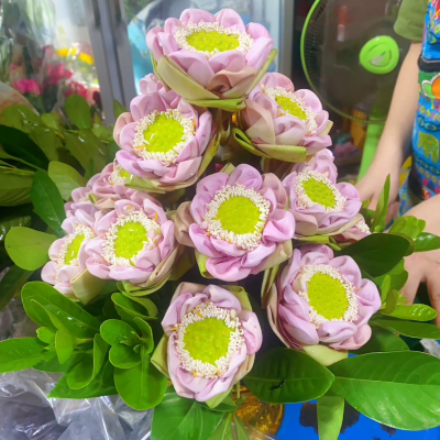 พานดอกบัวหลวงสีชมพูครับเป็นกลีบบานชื่น